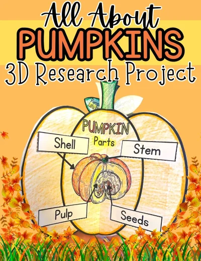 All About Pumpkin 3D Research Project