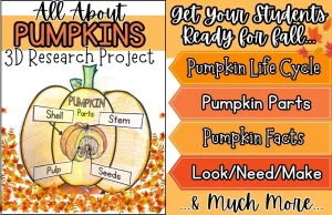 All About Pumpkin 3D Research Project