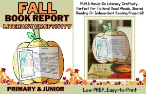 Book Report 3D Pumpkin