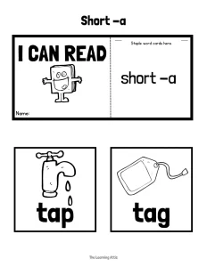 Long and Short Vowels Phonics Flipbooks, 300+ Word Families Fluency Flip Books