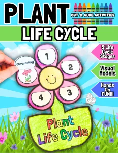 Life Cycle Of A Plant Craftivity Spring Bulletin Display April May Cut & Glue
